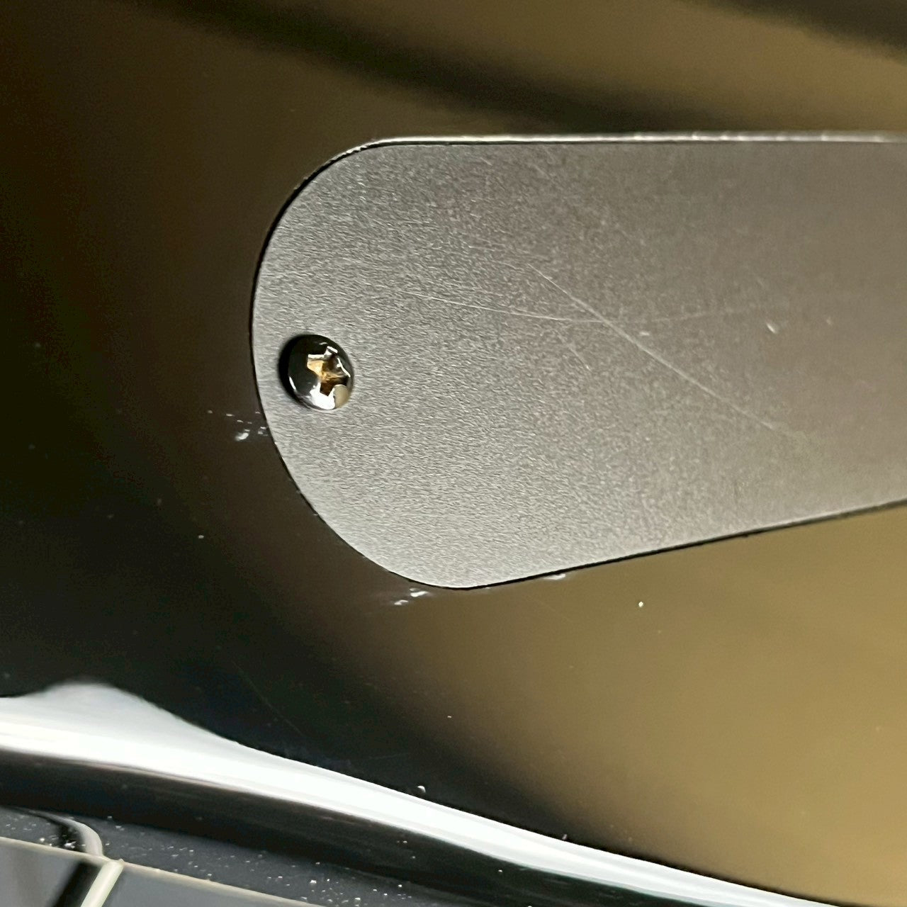 FERNANDES TEJ Limted Edition 2022