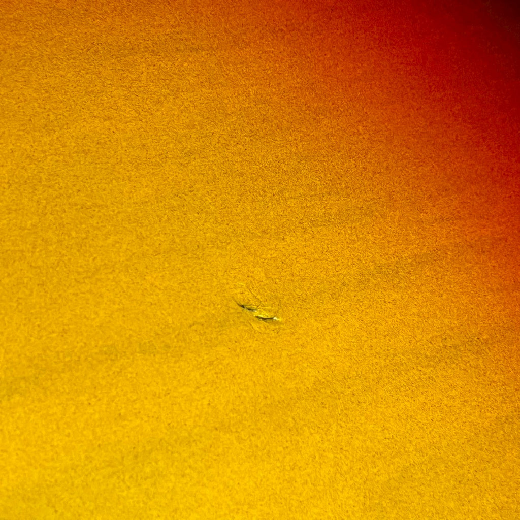 Bacchus Japan Jazz Bass