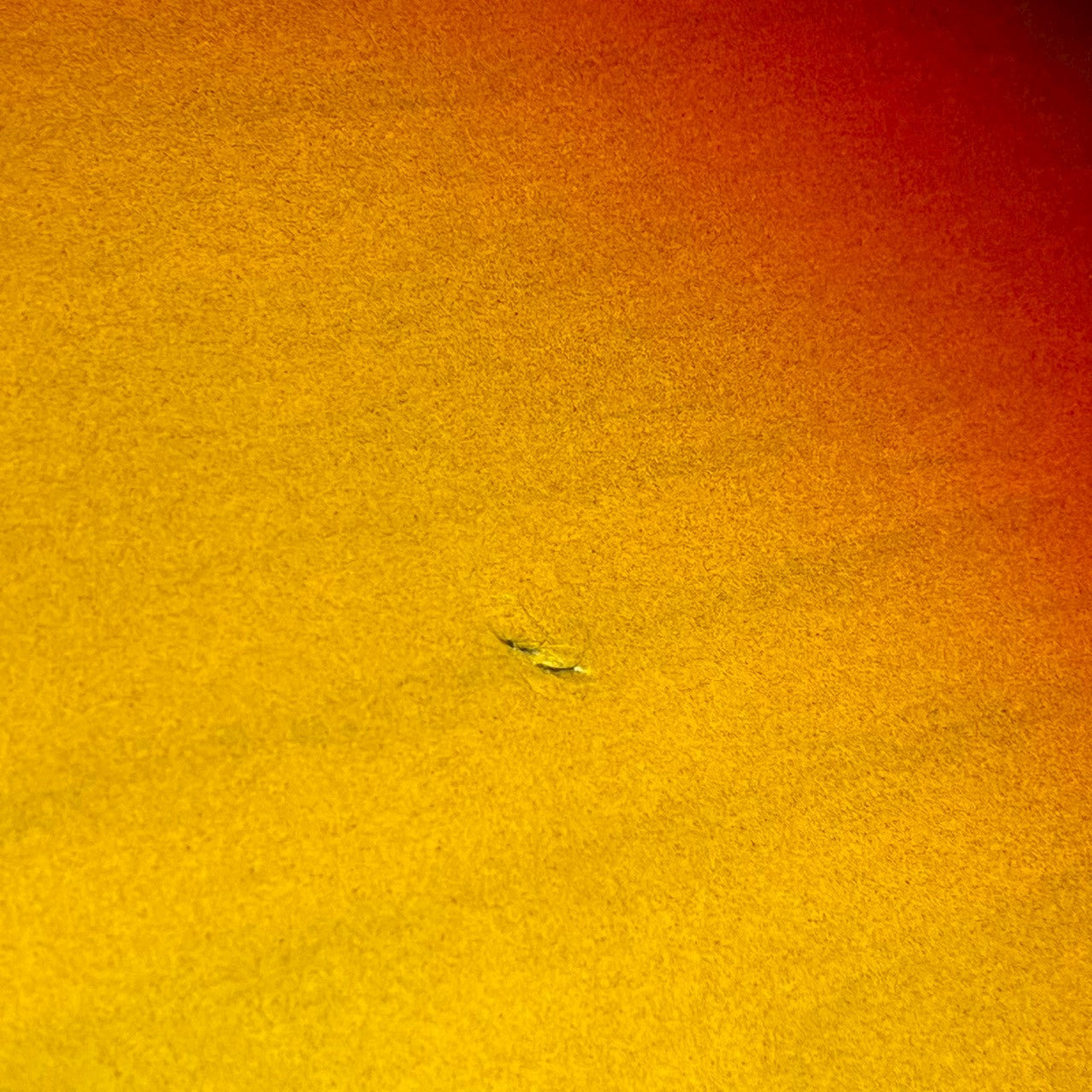 Bacchus Japan Jazz Bass