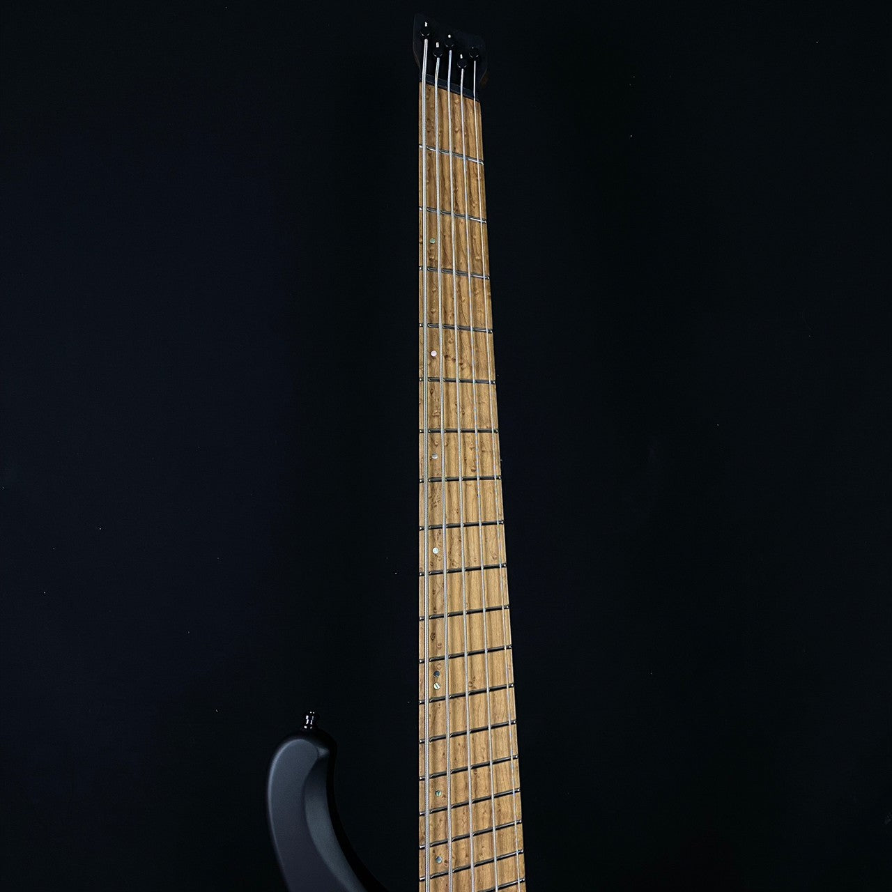 Ibanez EHB1005MS-BKF