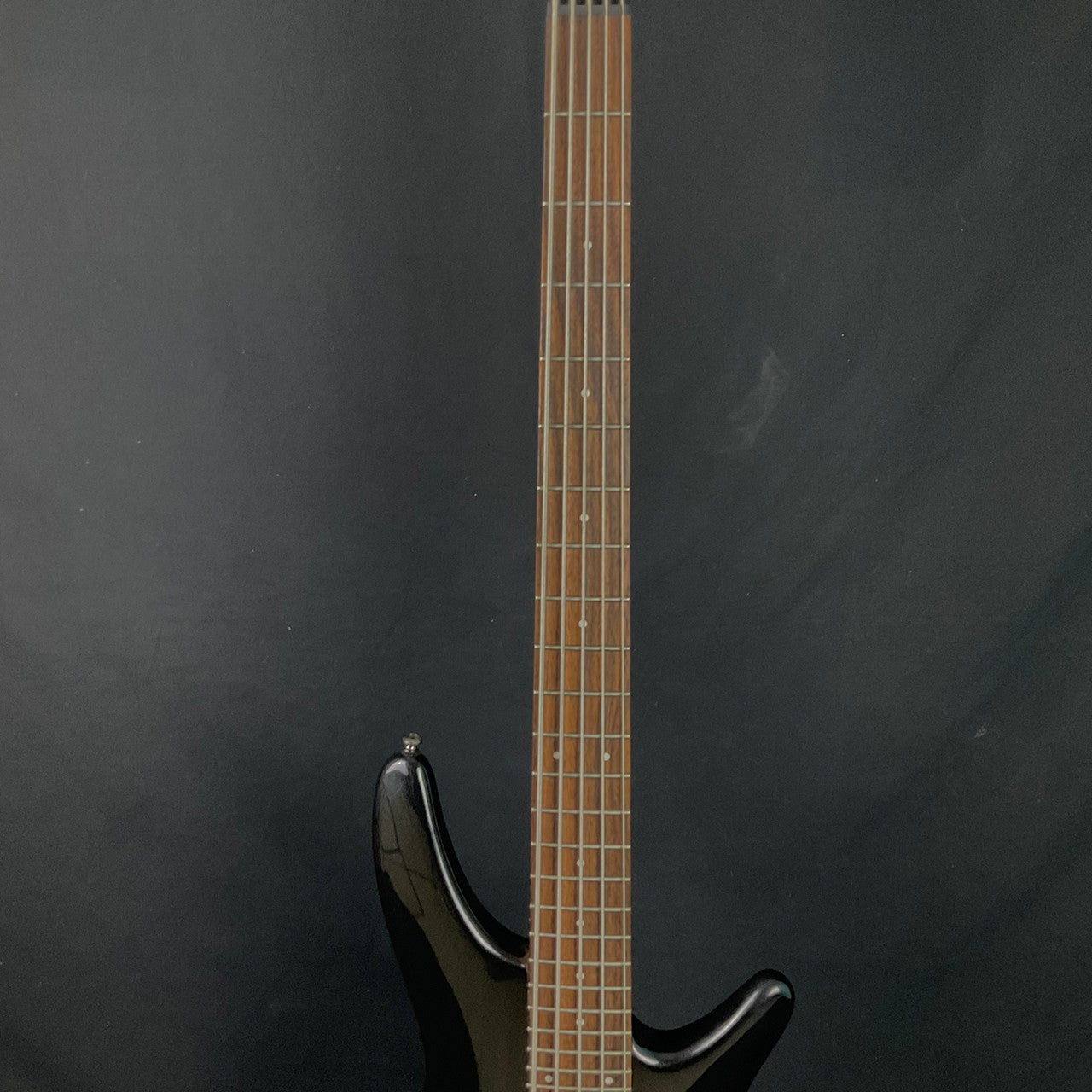 Ibanez SR305