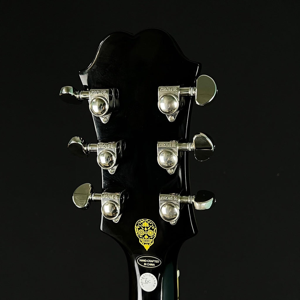 Epiphone Shinichi Ubukata ES-355