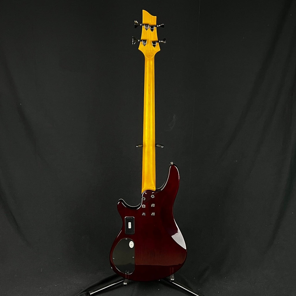Schecter Omen Extreme-4
