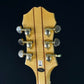 Epiphone Sheraton II