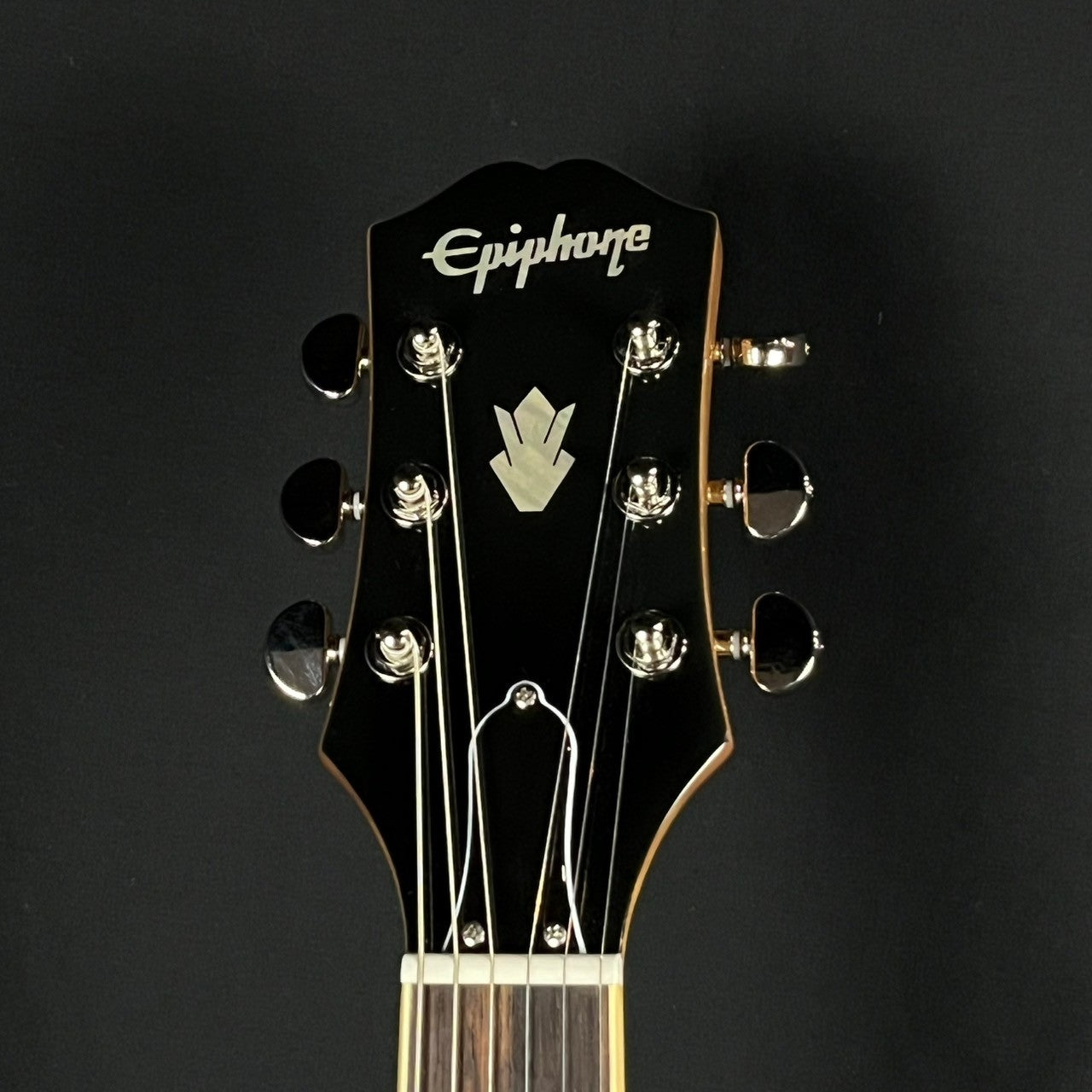 Epiphone ES-339