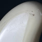Squier Japan Stratocaster CST50 1983
