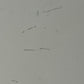 Squier Japan Stratocaster CST50 1983