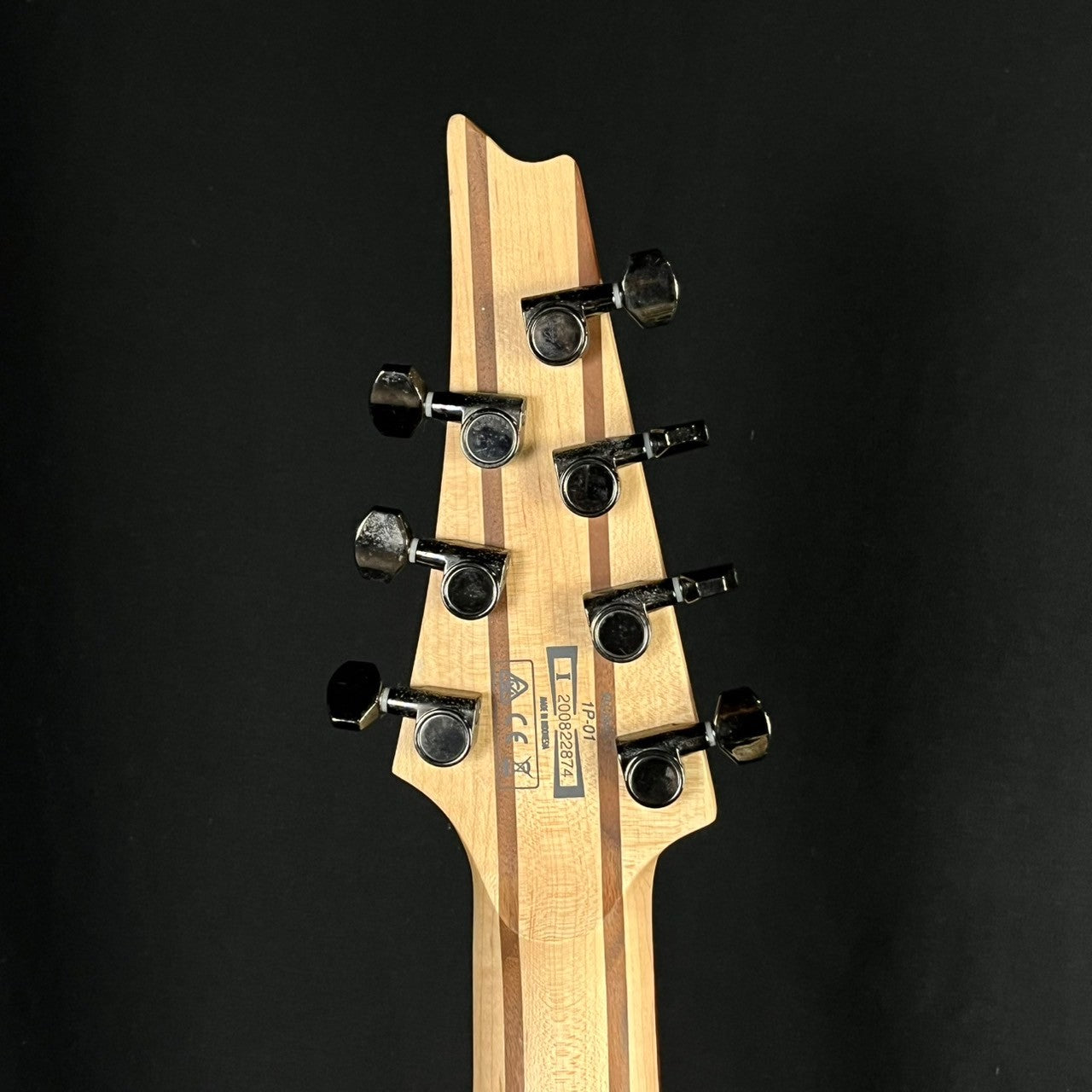 Ibanez RGMS7