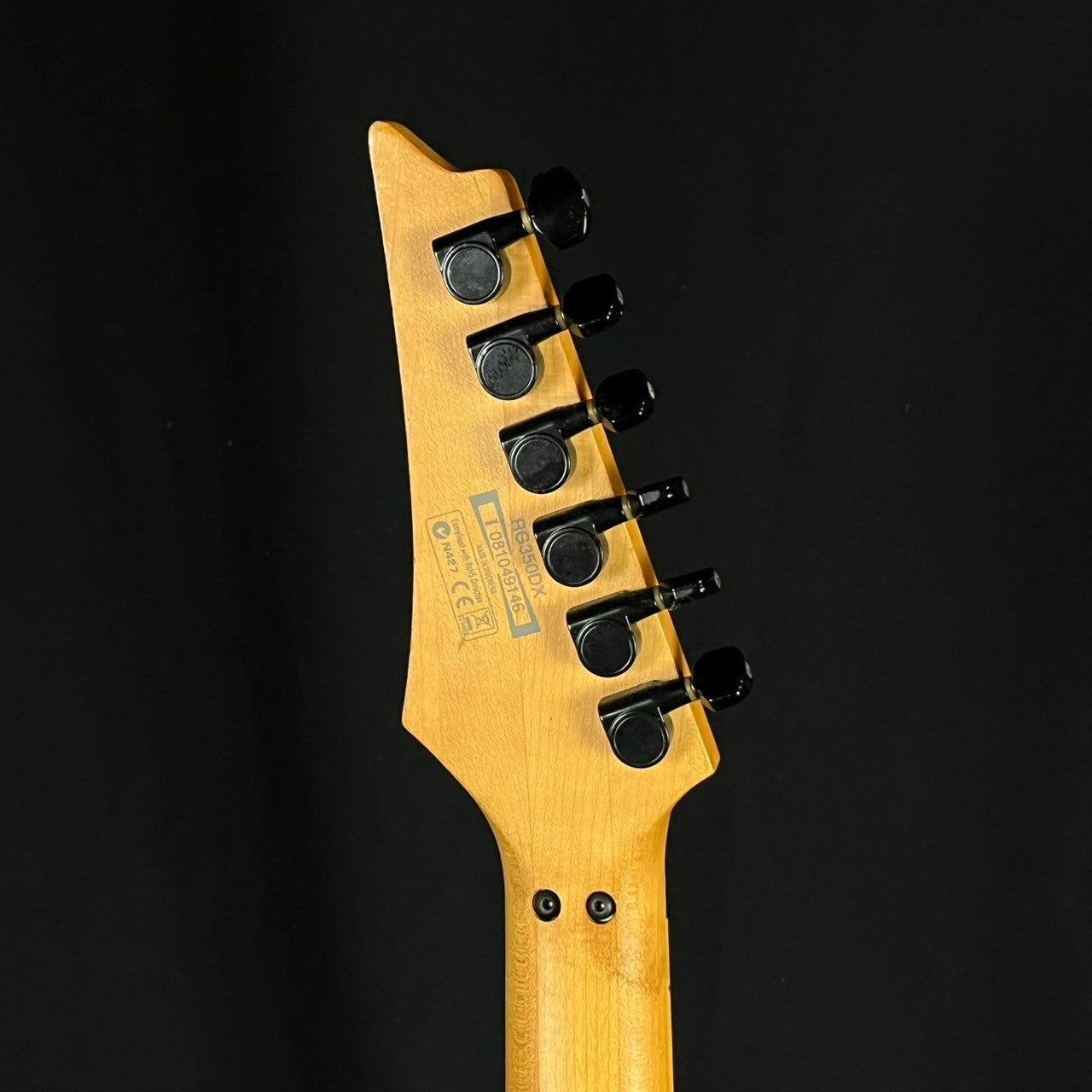 Ibanez RG350DX 2008