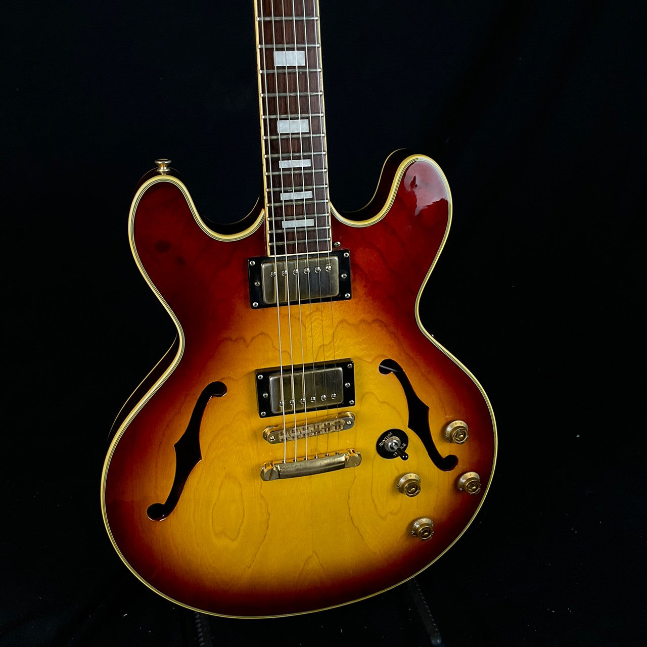 Exceed Semi Hollow Guitar