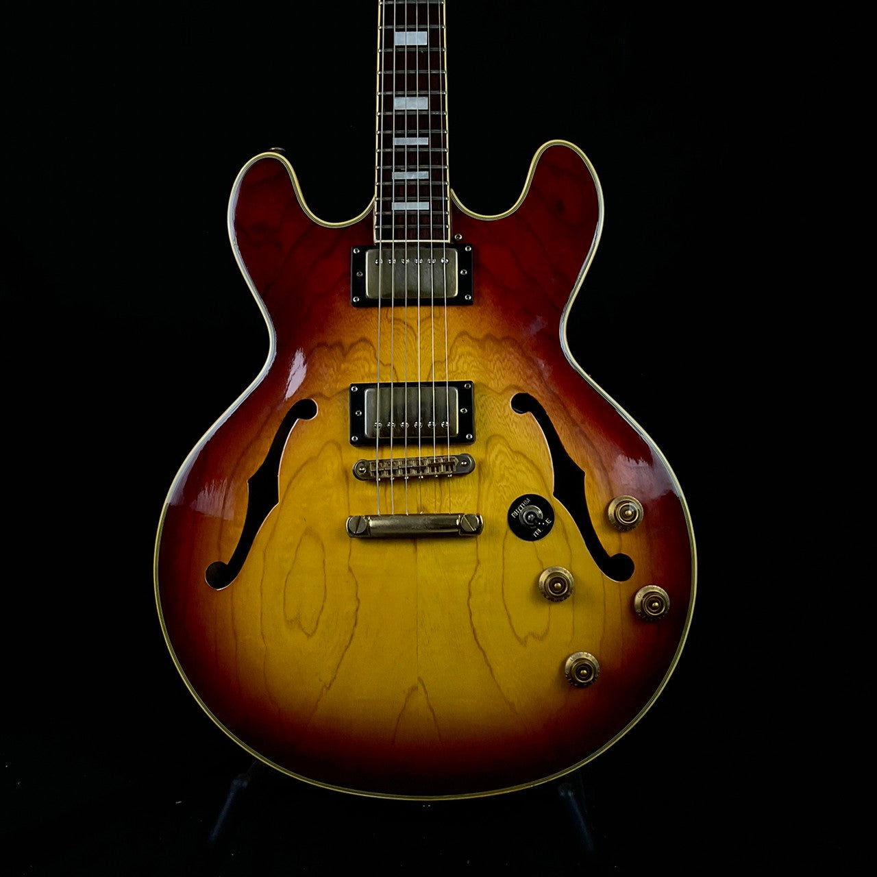 Exceed Semi Hollow Guitar