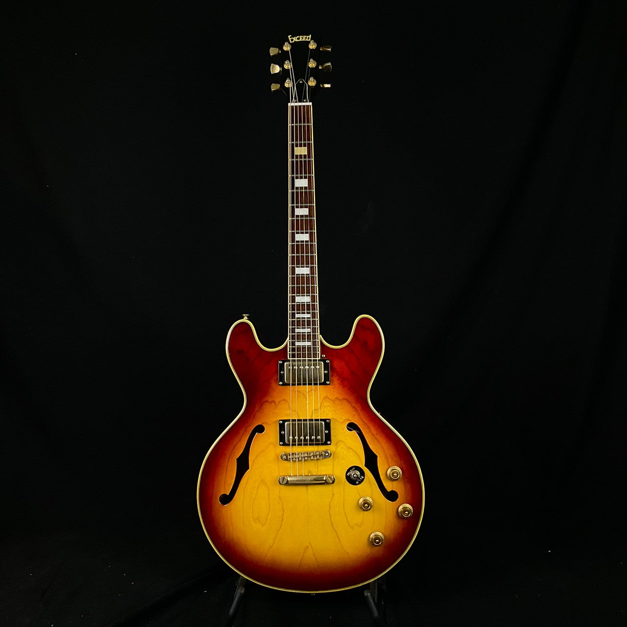 Exceed Semi Hollow Guitar