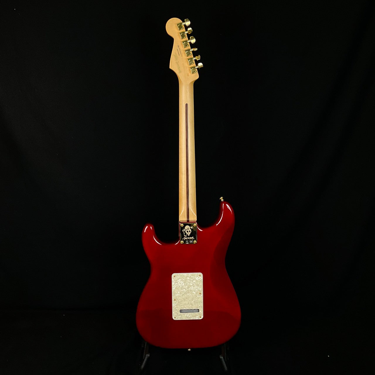 Fender Mexico Stratocaster Tash Sultana