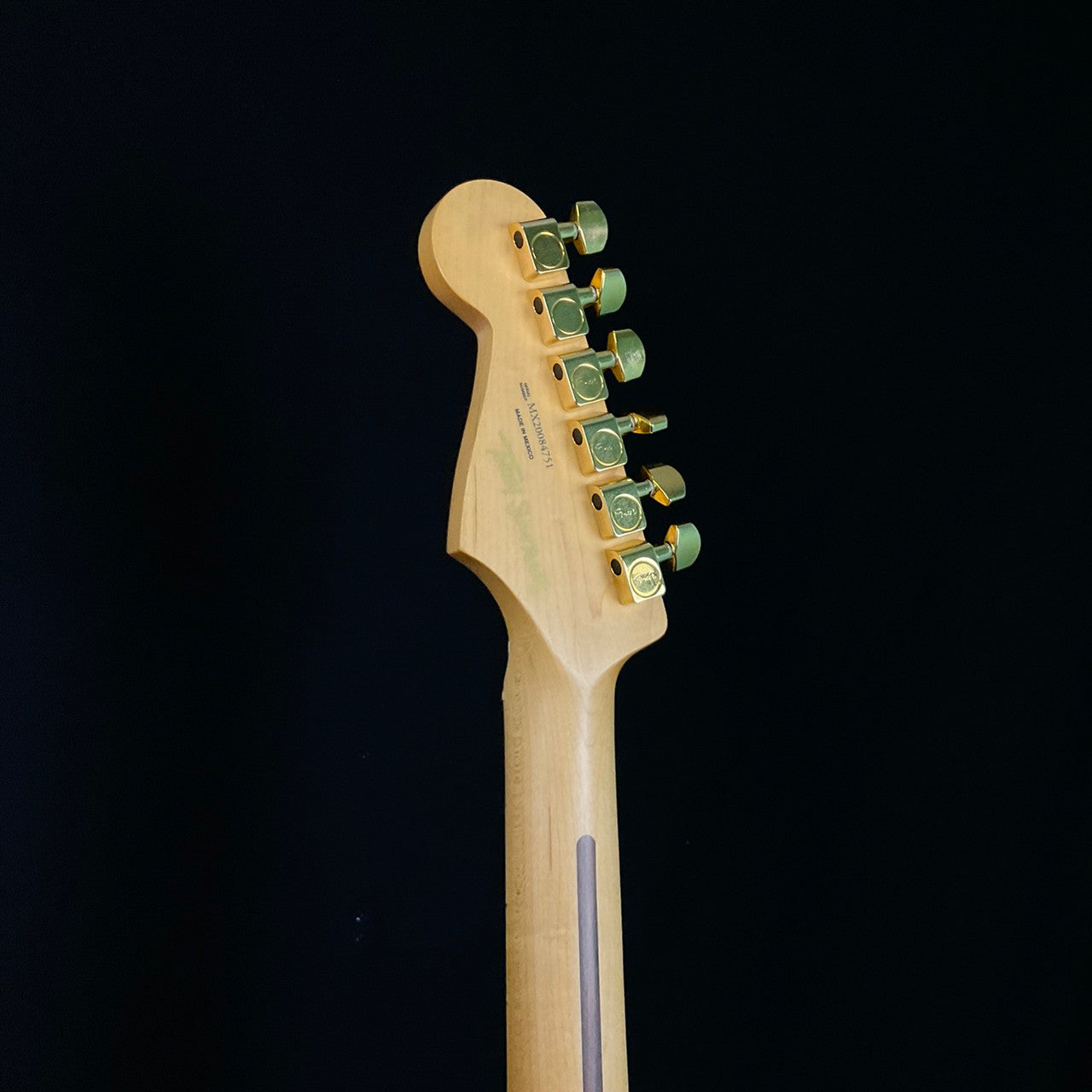 Fender Mexico Stratocaster Tash Sultana