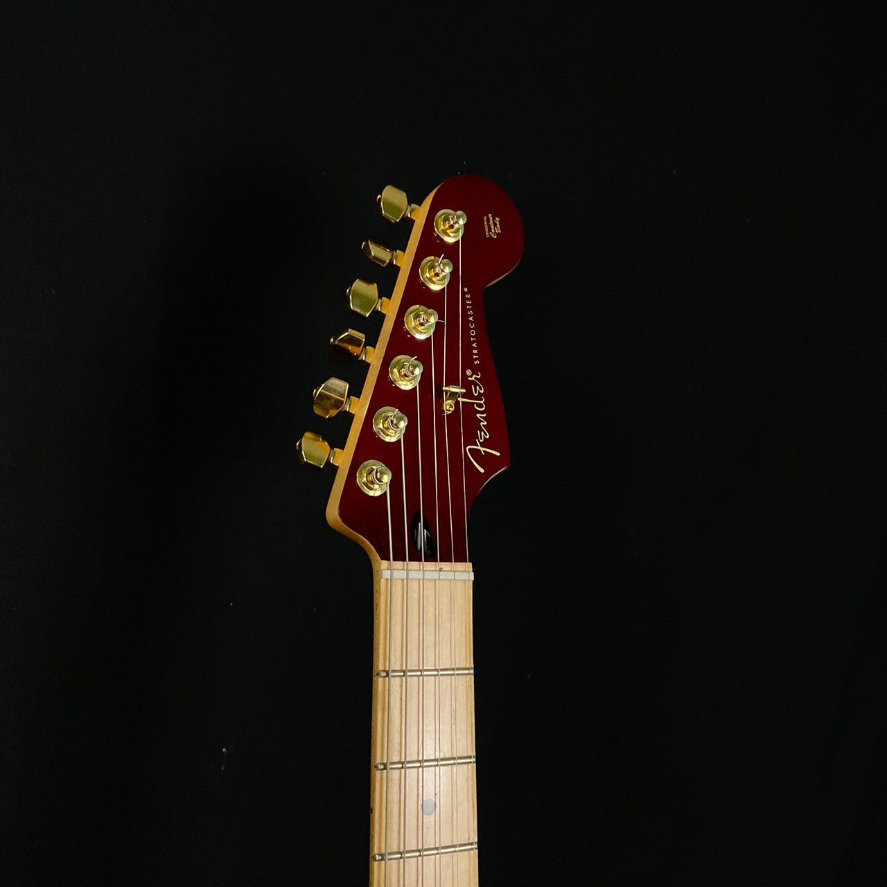 Fender Mexico Stratocaster Tash Sultana