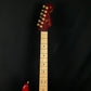 Fender Mexico Stratocaster Tash Sultana