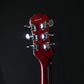 Epiphone SLASH AFD Les Paul Special II