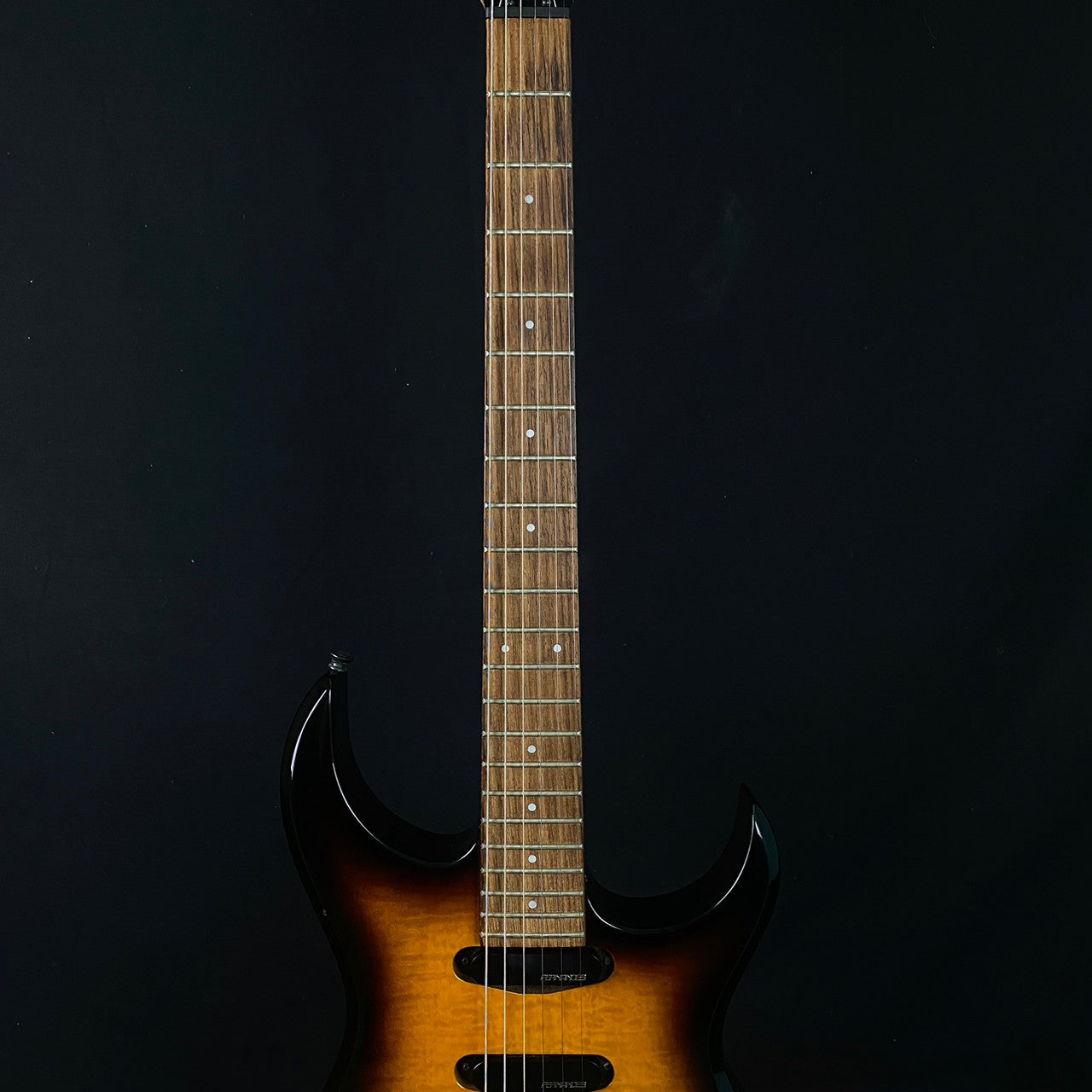 Fernandes FGZ-400