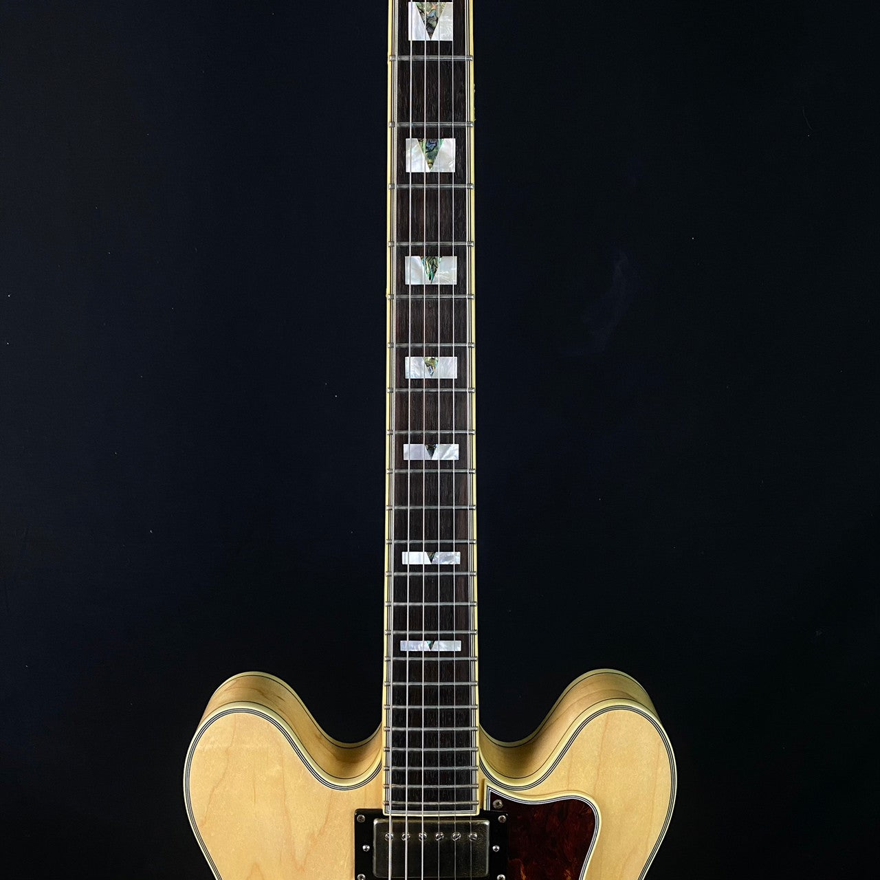 Epiphone Sheraton II