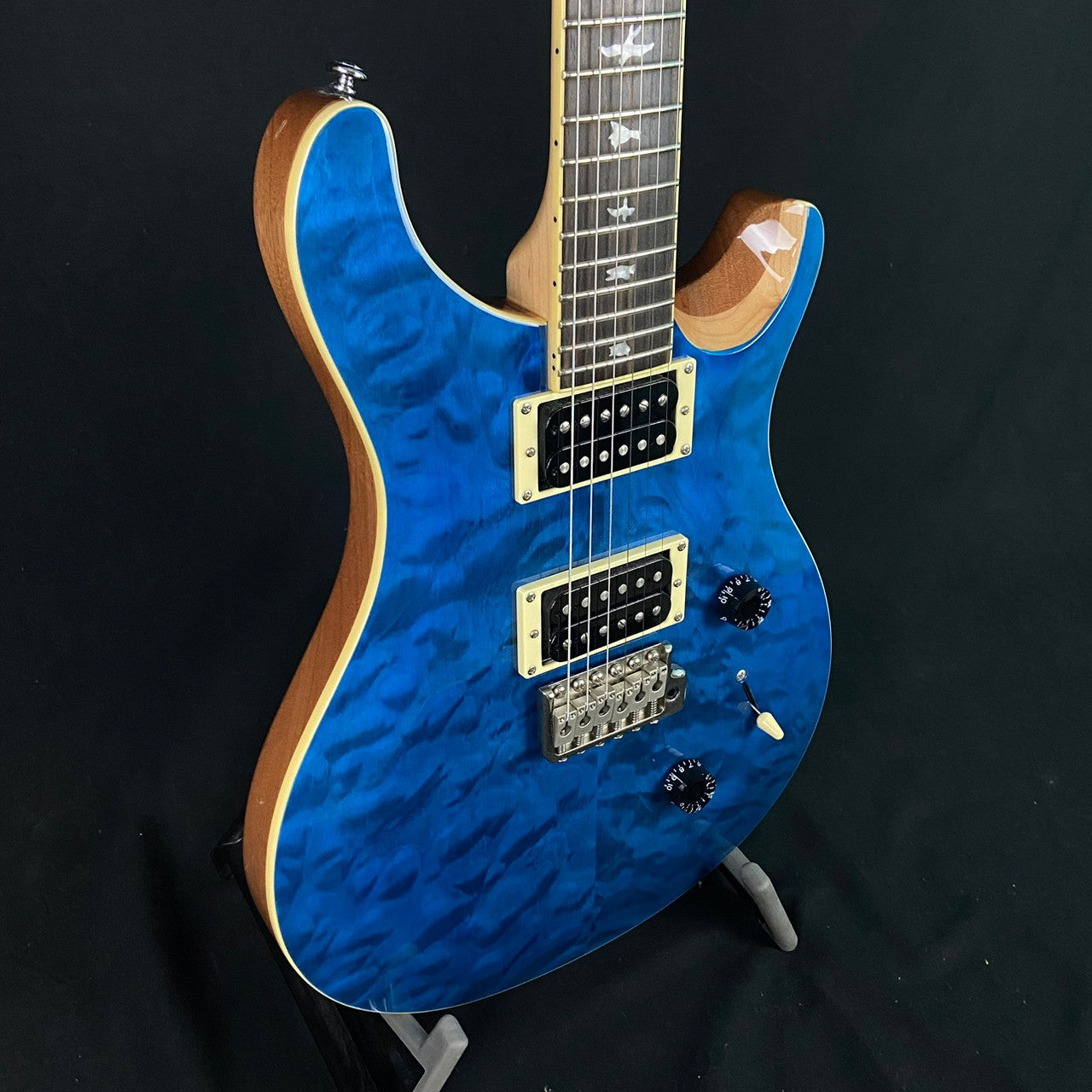 PRS SE Custom 24