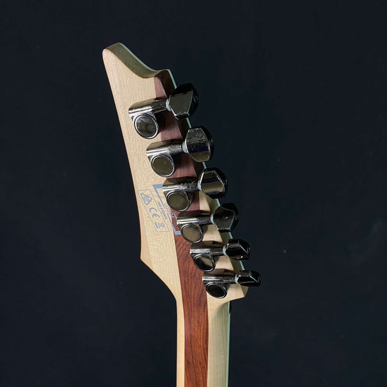 Ibanez RGIB6