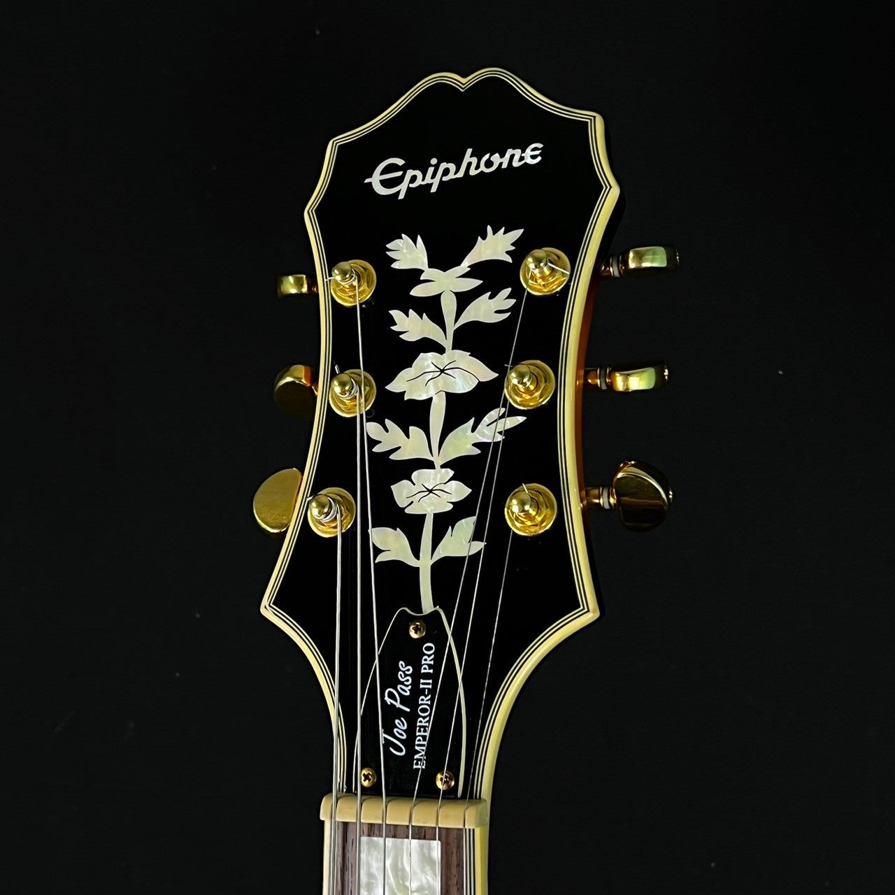 Epiphone Joe Pass Emperor-II PRO