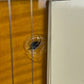 Epiphone Les Paul Standard Pro