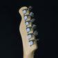 Bacchus Universe Series Telecaster
