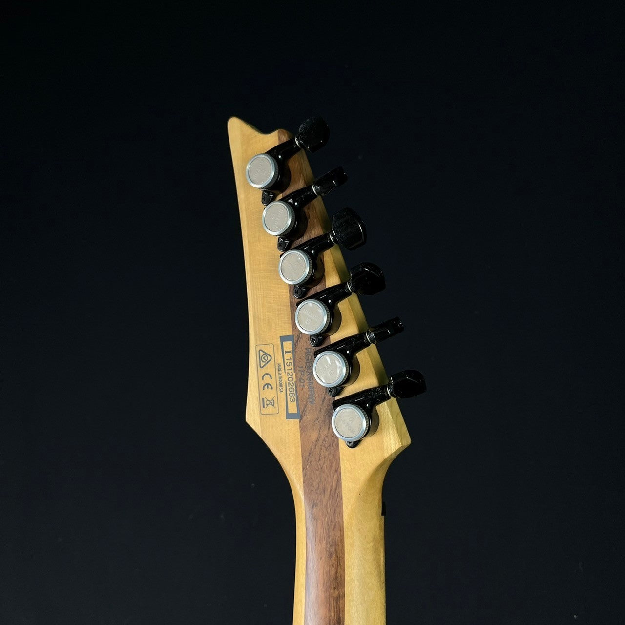 Ibanez RGDIX6MRW