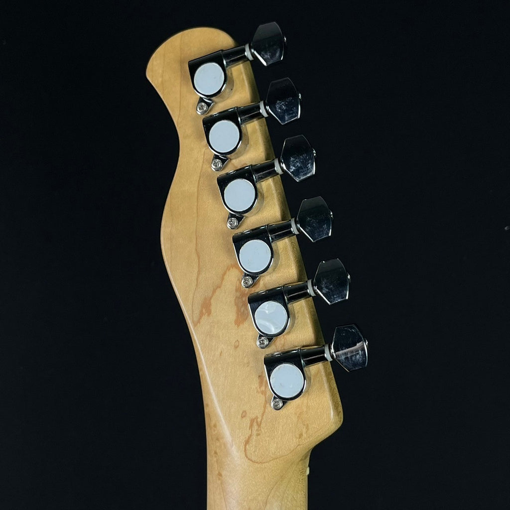 Bacchus Universe Series Telecaster