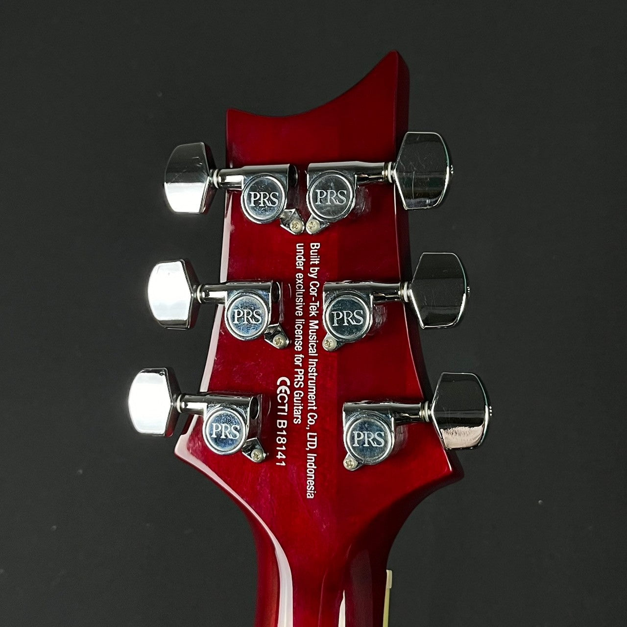 PRS SE Standard 24 2019