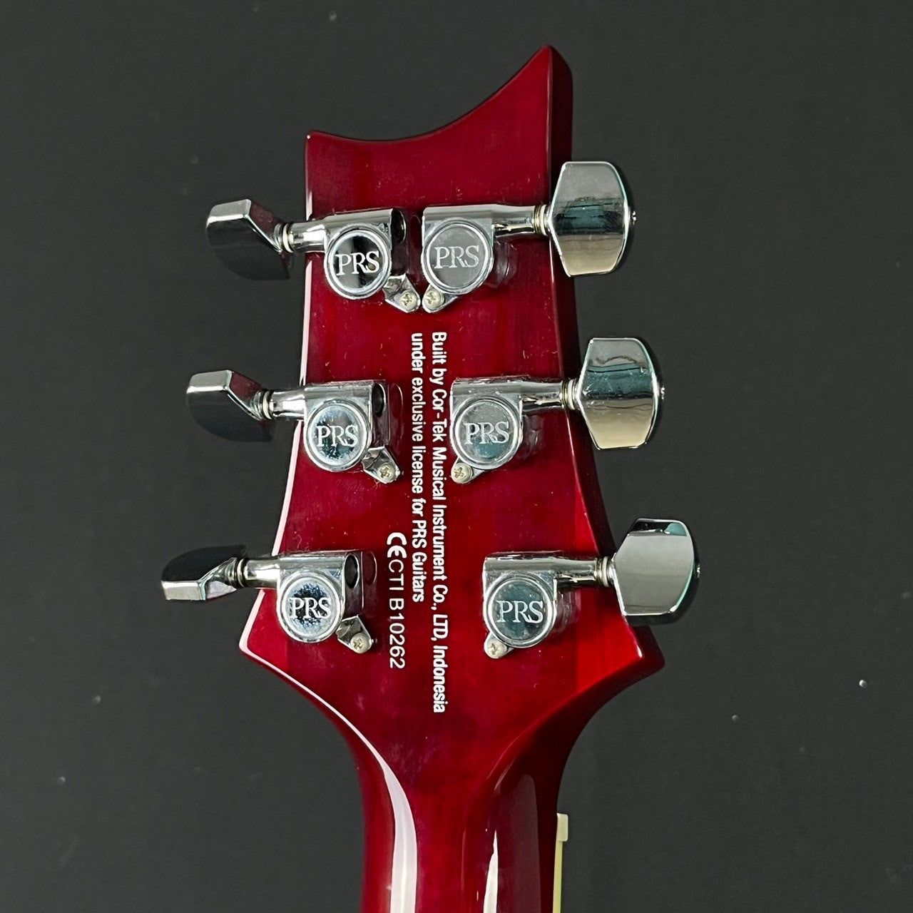 PRS SE Standard 24