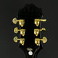 Epiphone SHERATON Pro II EB