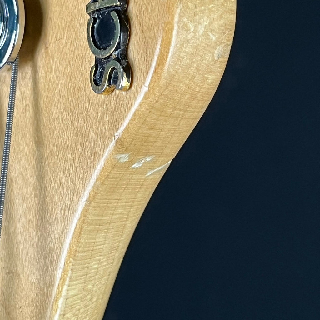 Schecter Japan EXB-STD-BD-PJ4 Bass