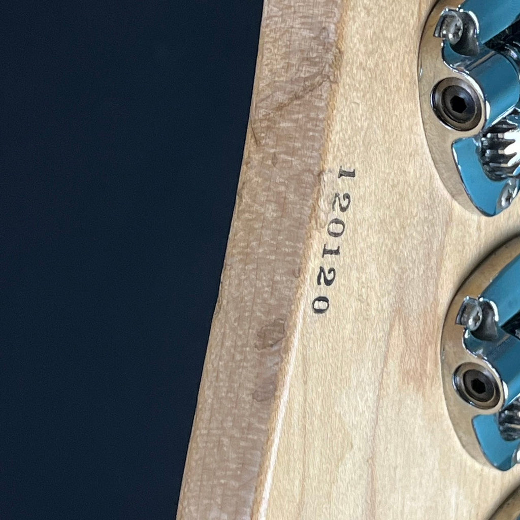 Schecter Japan EXB-STD-BD-PJ4 Bass