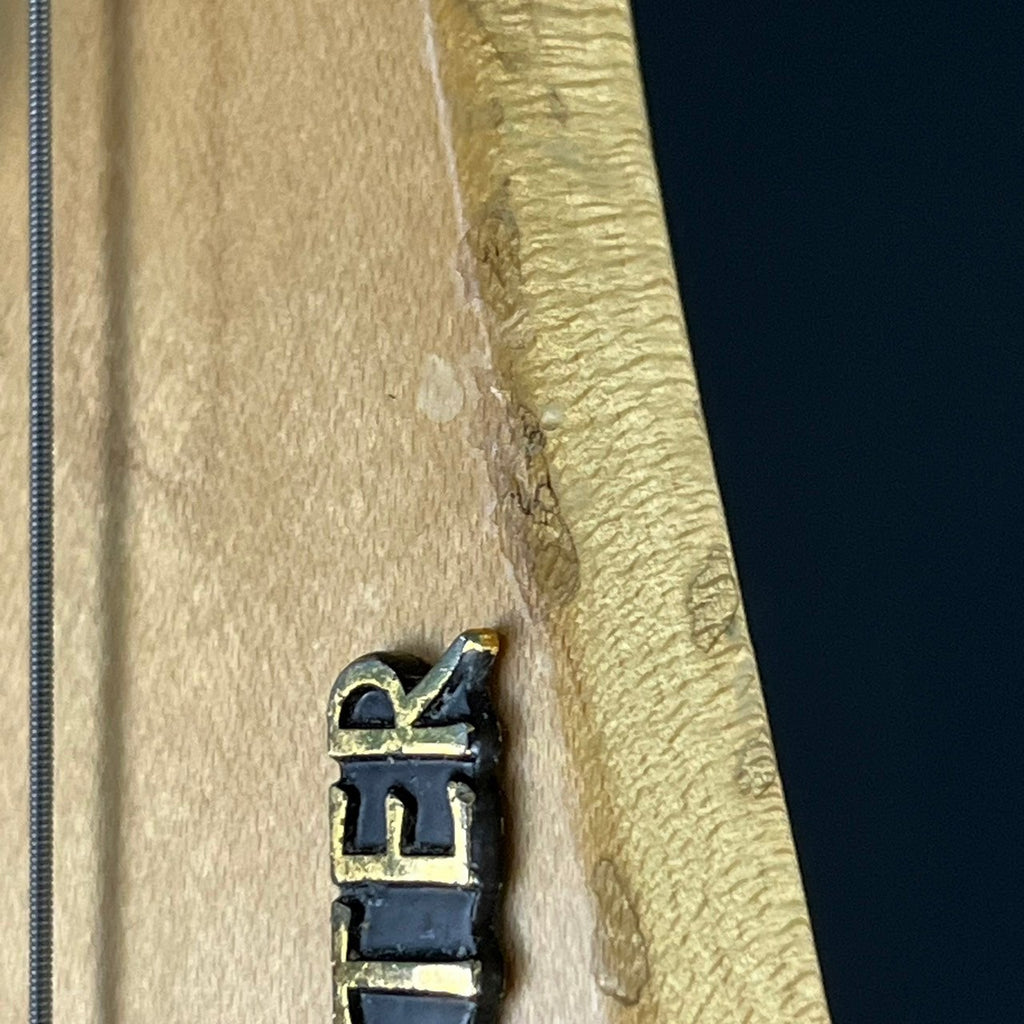 Schecter Japan EXB-STD-BD-PJ4 Bass