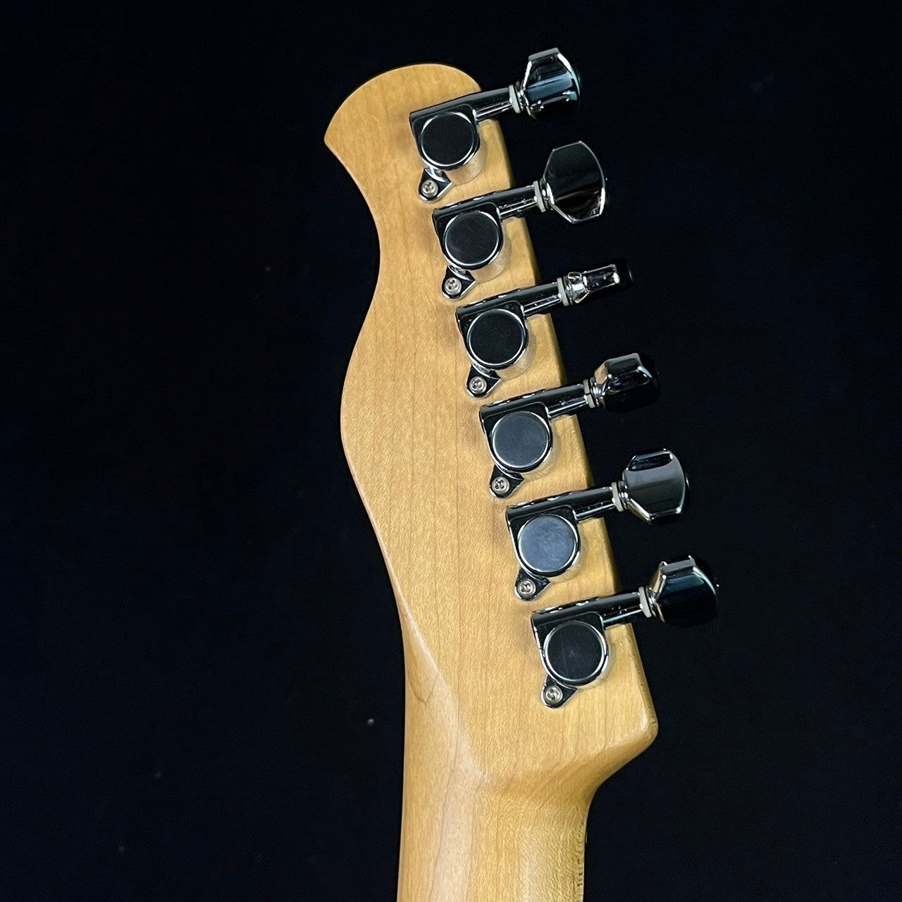 Bacchus Universe Series Telecaster