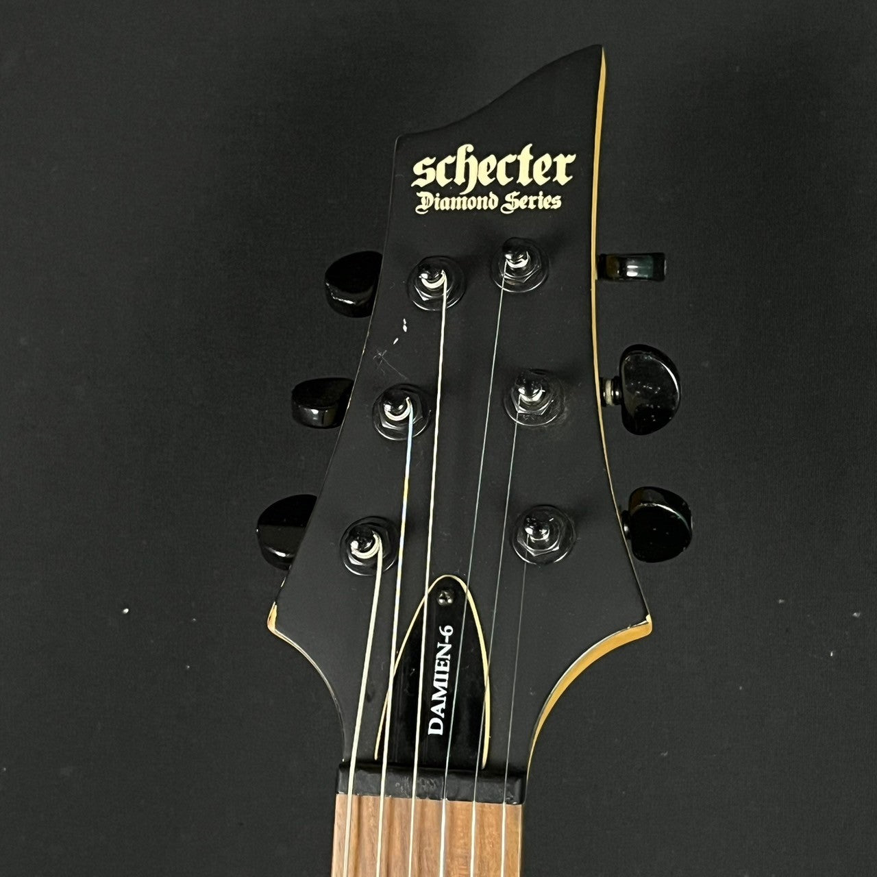 SCHECTER DAMIEN-6