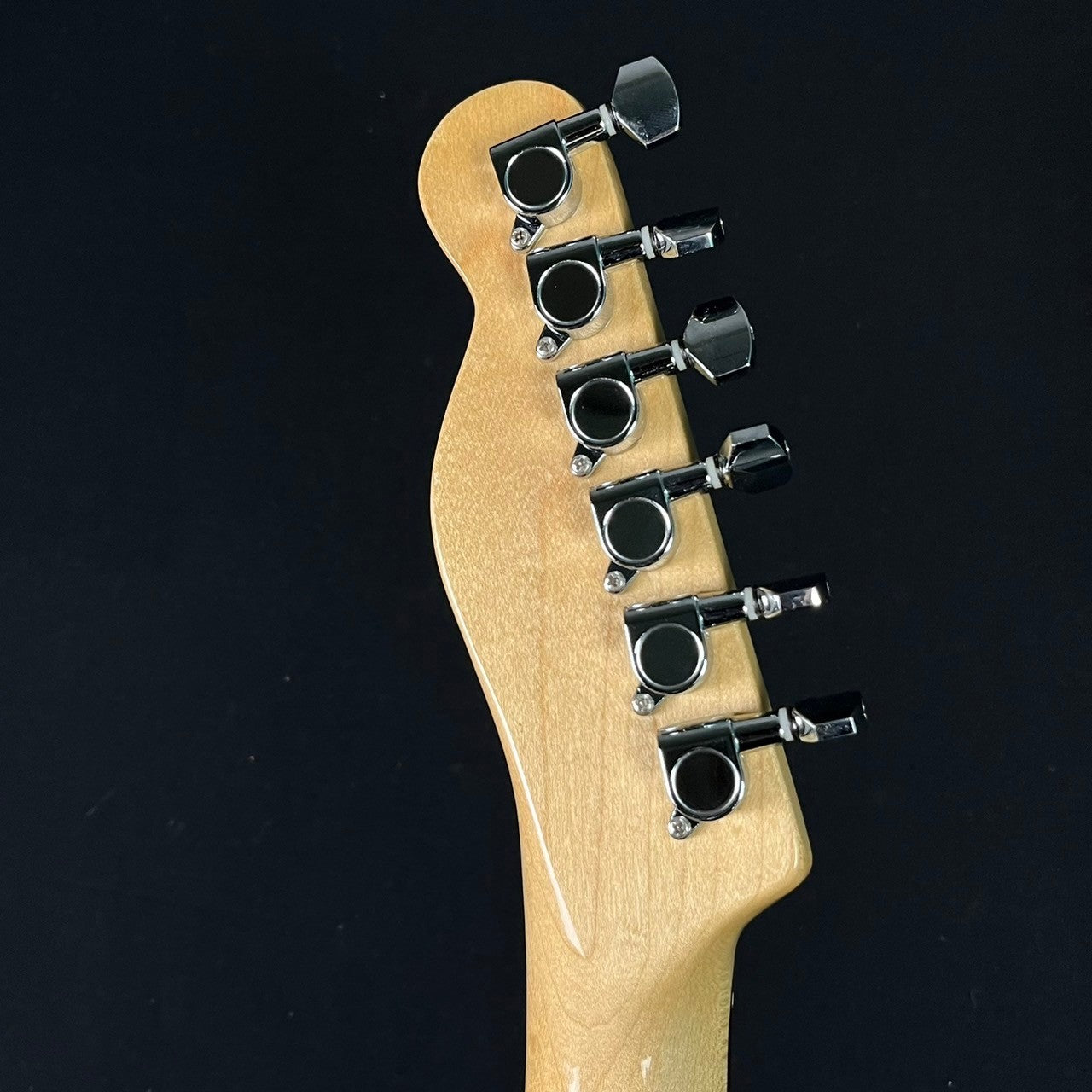 Bacchus Universe Series Telecaster