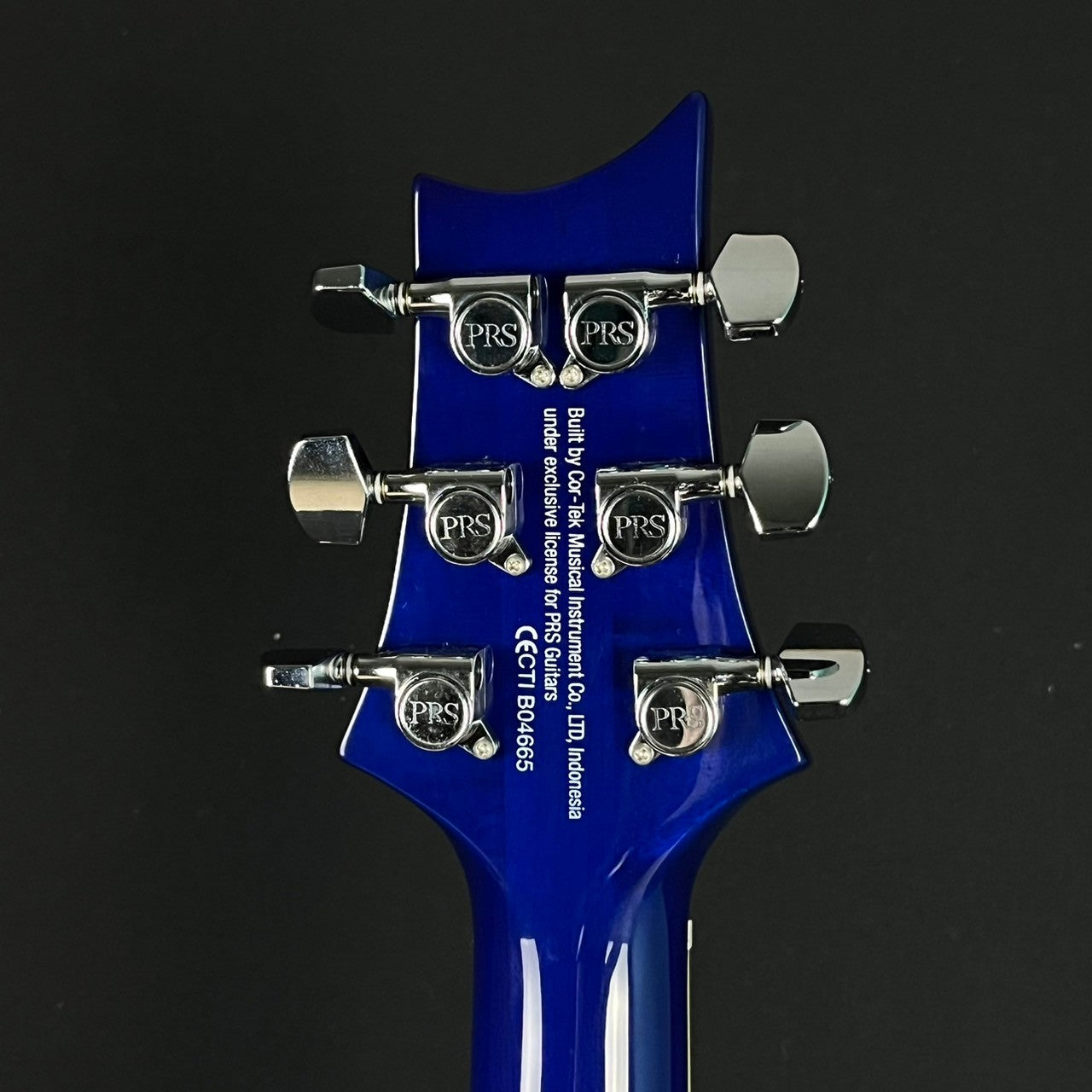 PRS SE Standard 24 2019