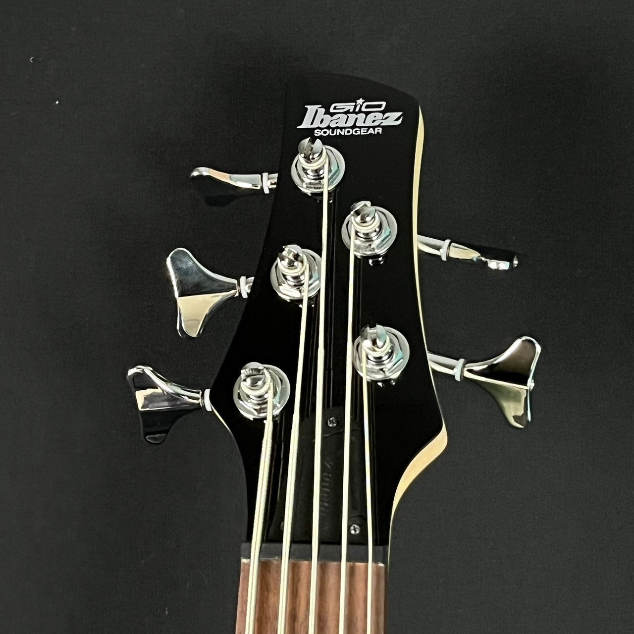 Ibanez GSR105EX Bass