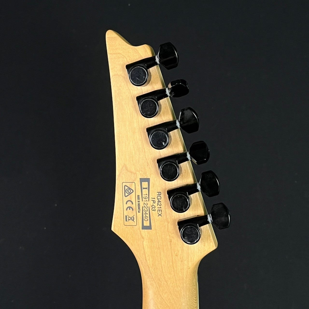 Ibanez RG421EX