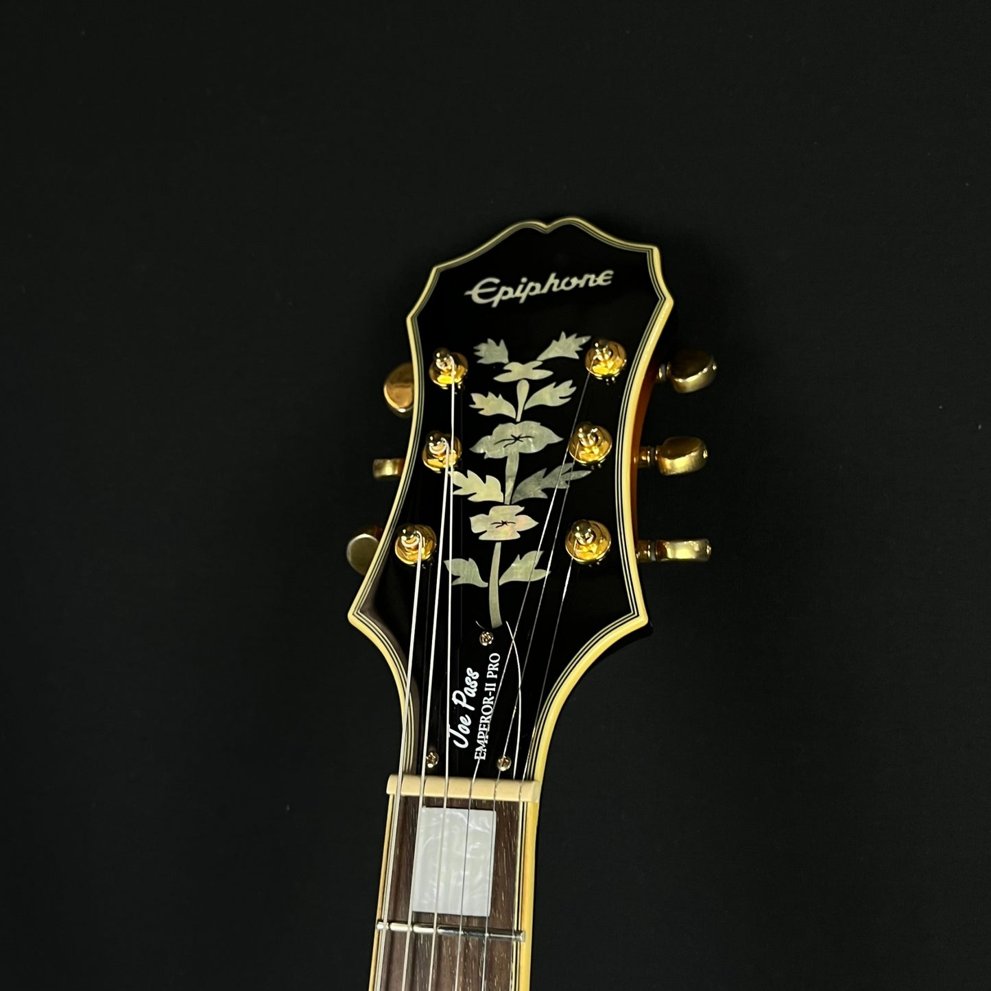 Epiphone Joe Pass Emperor-II 2016