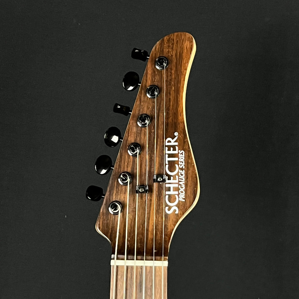 Schecter Japan Progauge PS-PT-P90