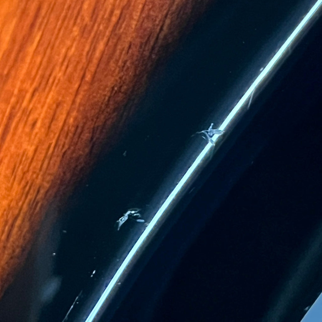 Epiphone Thunderbird Bass Bolt-on 2010