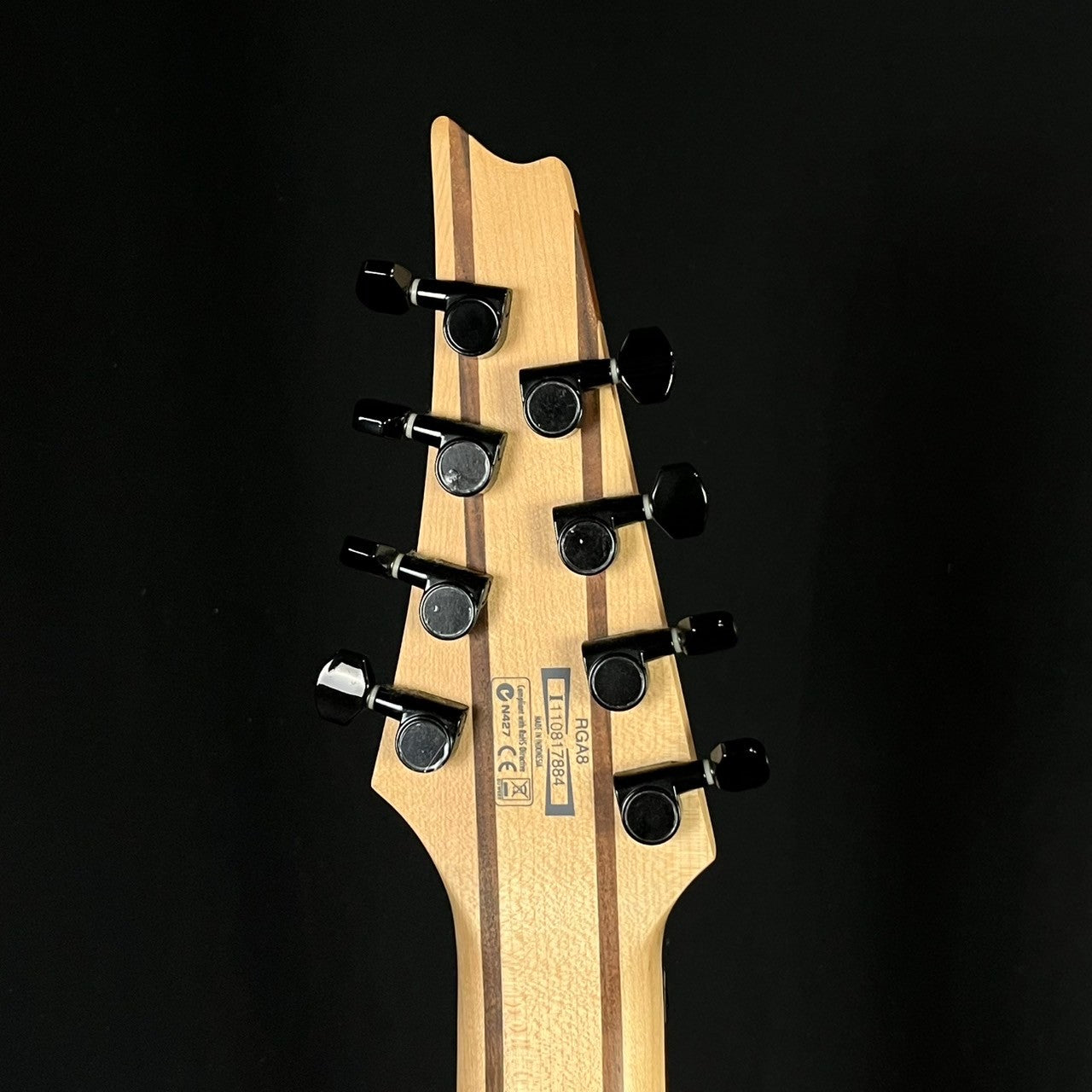 Ibanez RGA8 2011