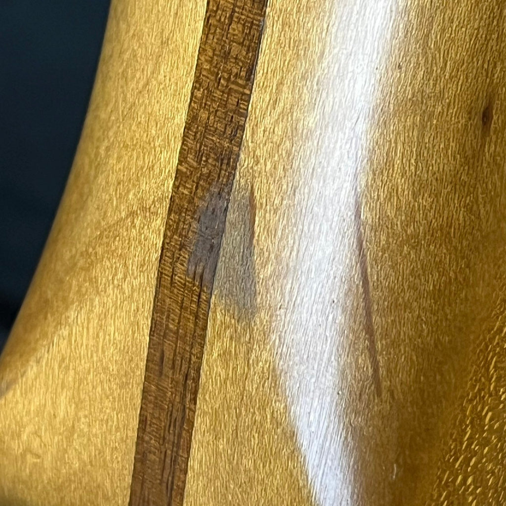 Fender Mexico Standard Telecaster 1996