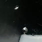 Fernandes Stratocaster