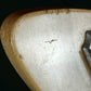 Fernandes Stratocaster