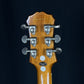Epiphone Les Paul Standard 2009